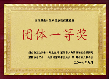 團(tuán)體一等獎(jiǎng)