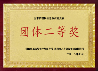 團(tuán)體二等獎(jiǎng)